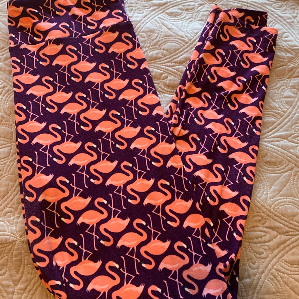 Lularoe Tall curvy flamingo leggings